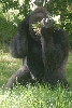 Visit to San Diego Zoo facilities