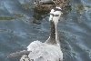 Visit to San Diego Zoo facilities