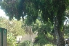 Visit to San Diego Zoo facilities