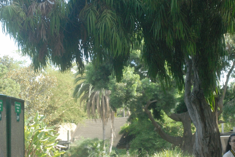 Visit to San Diego Zoo facilities