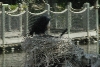 Visit to San Diego Zoo facilities