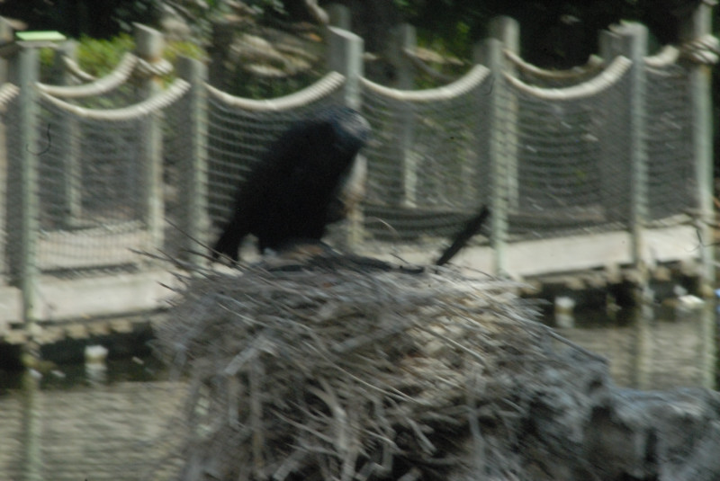 Visit to San Diego Zoo facilities