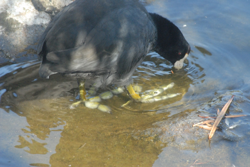 Visit to San Diego Zoo facilities