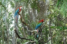 Visit to San Diego Zoo facilities