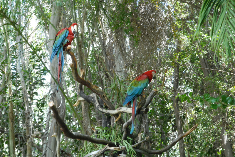 Visit to San Diego Zoo facilities