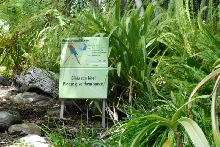 Visit to San Diego Zoo facilities