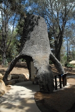 Visit to San Diego Zoo facilities