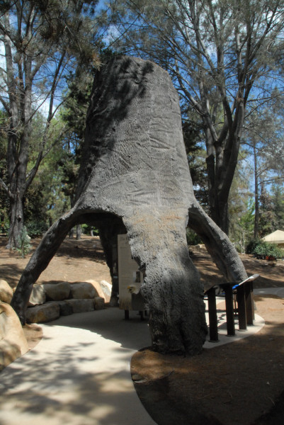 Visit to San Diego Zoo facilities