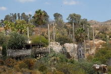 Visit to San Diego Zoo facilities