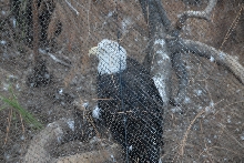 Visit to San Diego Zoo facilities