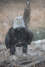 Visit to San Diego Zoo facilities