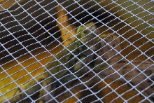 Visit to San Diego Zoo facilities