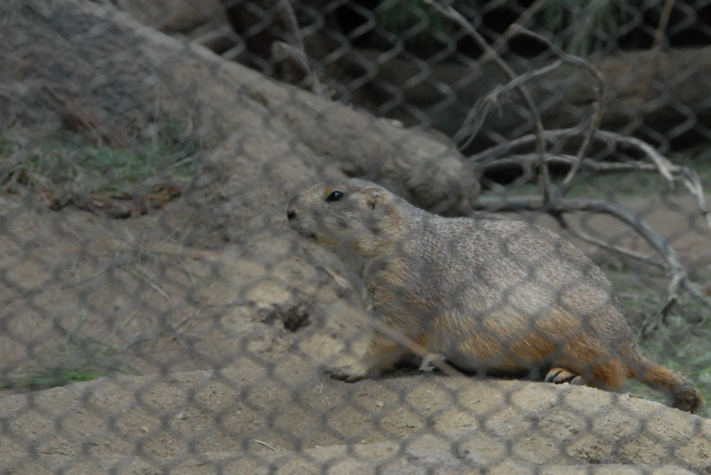 Visit to San Diego Zoo facilities