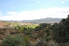 Visit to San Diego Zoo facilities