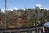 Visit to San Diego Zoo facilities