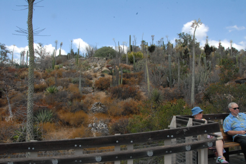 Visit to San Diego Zoo facilities