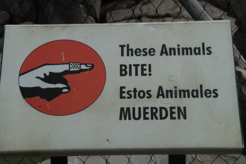 Visit to San Diego Zoo facilities