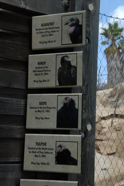 Visit to San Diego Zoo facilities