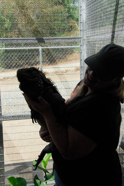 Visit to San Diego Zoo facilities