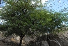Visit to San Diego Zoo facilities