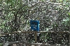 Visit to San Diego Zoo facilities