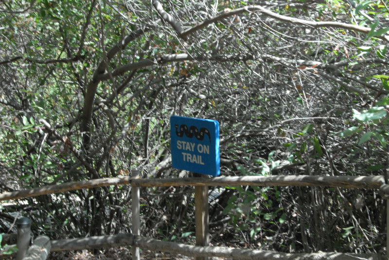 Visit to San Diego Zoo facilities