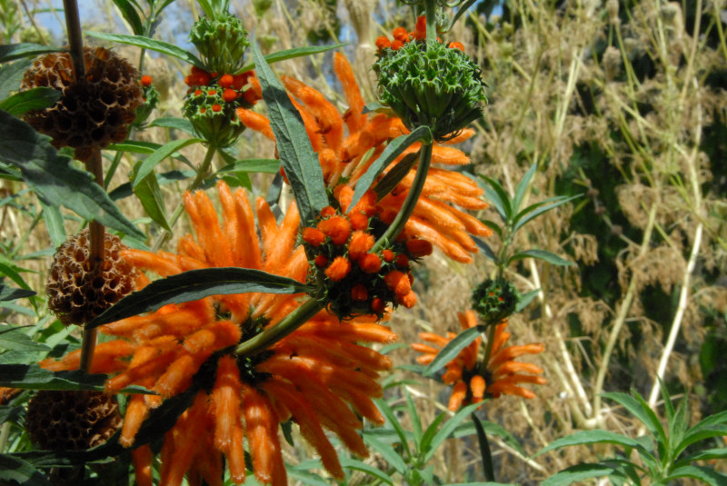 Visit to San Diego Zoo facilities