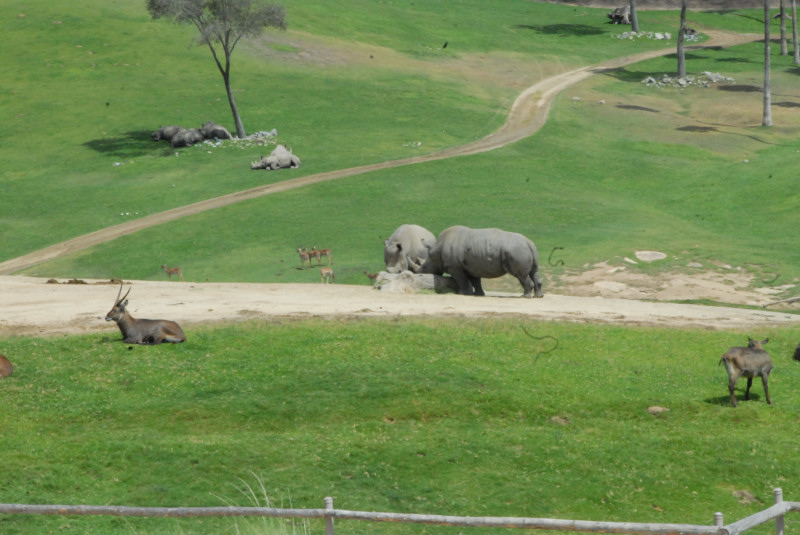 Visit to San Diego Zoo facilities