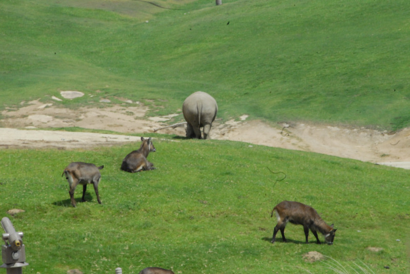 Visit to San Diego Zoo facilities