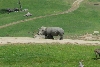 Visit to San Diego Zoo facilities