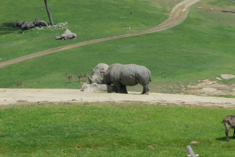 Visit to San Diego Zoo facilities
