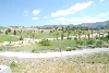 Visit to San Diego Zoo facilities