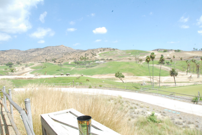 Visit to San Diego Zoo facilities