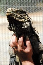 Visit to San Diego Zoo facilities