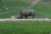 Visit to San Diego Zoo facilities