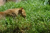 Visit to San Diego Zoo facilities