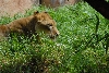 Visit to San Diego Zoo facilities
