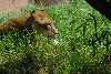 Visit to San Diego Zoo facilities