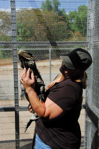 Visit to San Diego Zoo facilities