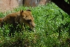 Visit to San Diego Zoo facilities