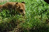 Visit to San Diego Zoo facilities