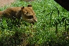 Visit to San Diego Zoo facilities