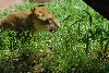 Visit to San Diego Zoo facilities