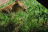 Visit to San Diego Zoo facilities