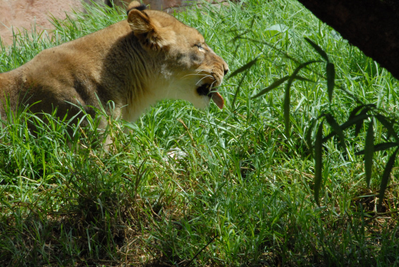Visit to San Diego Zoo facilities