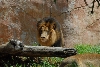 Visit to San Diego Zoo facilities