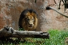 Visit to San Diego Zoo facilities