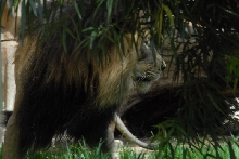 Visit to San Diego Zoo facilities