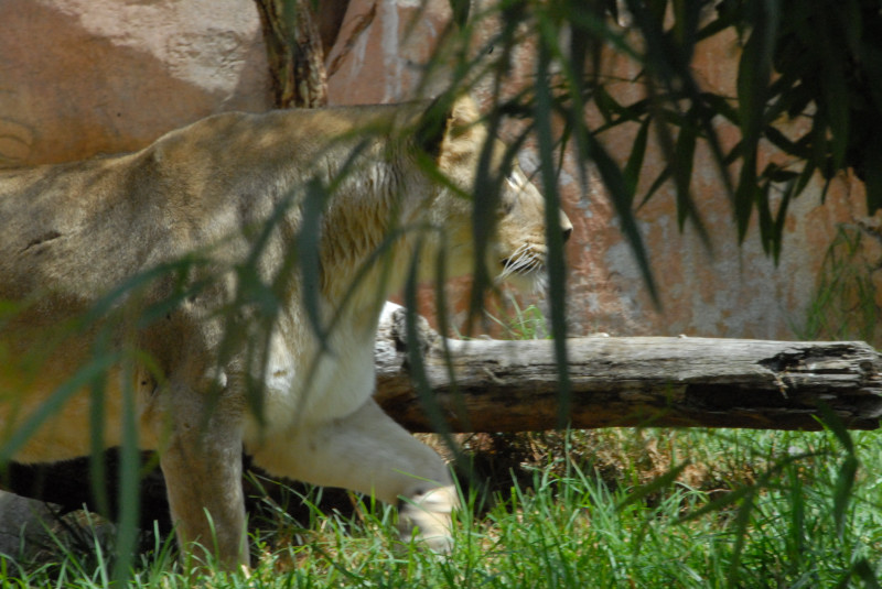 Visit to San Diego Zoo facilities