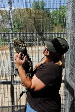 Visit to San Diego Zoo facilities
